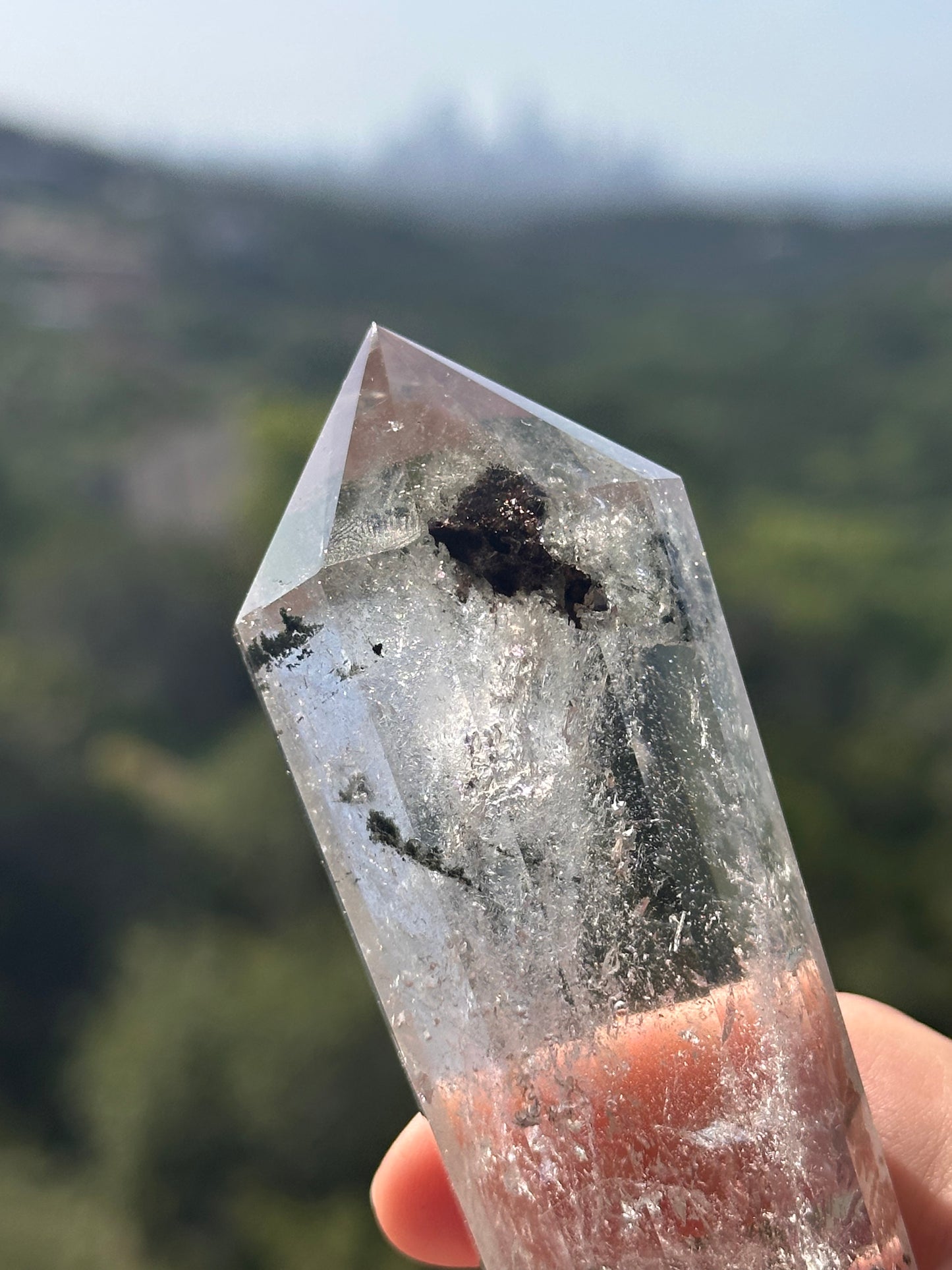 Shaman Dream Stone Vogel