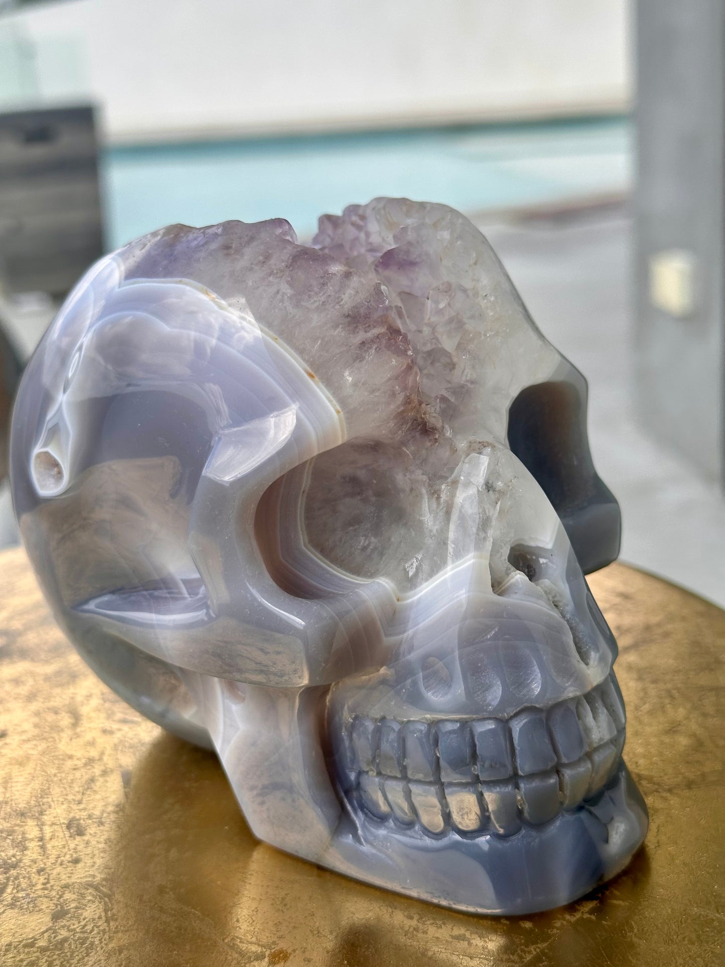 Rare Blue Lace Agate Skull with a Large Amethyst Cave Over 5 LBS