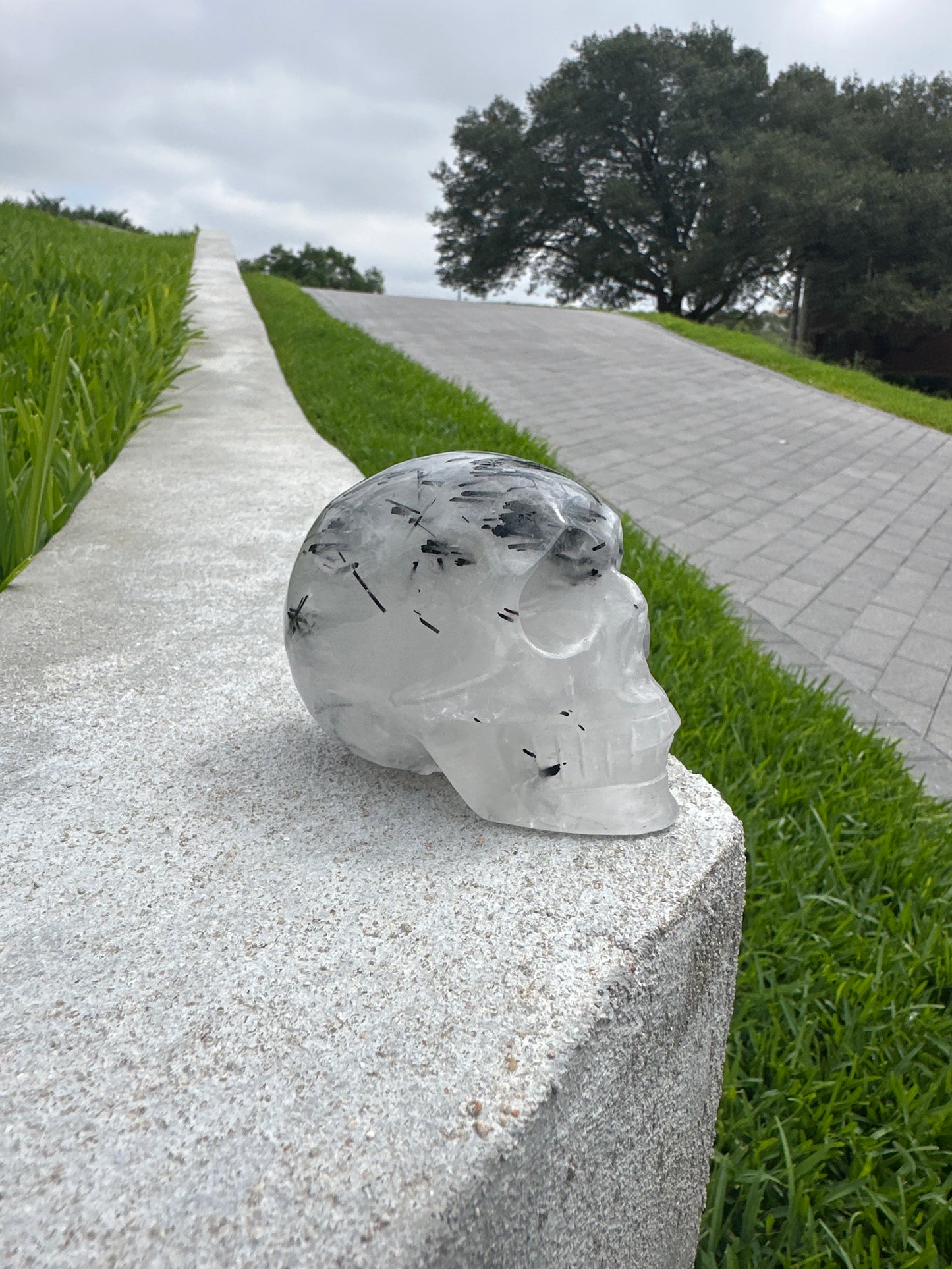 Clear Quartz Skull With Black Tourmaline Rods