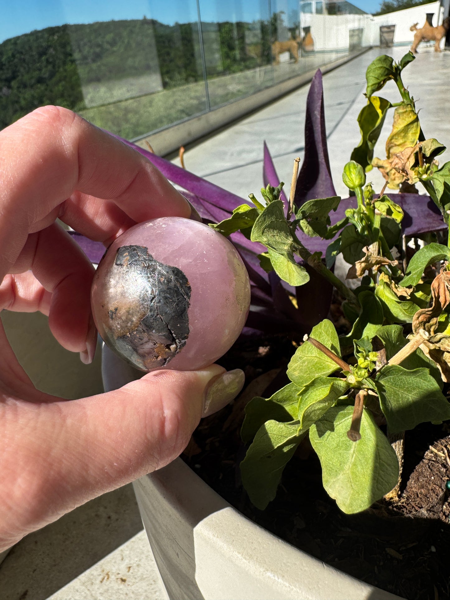 Pink Aragonite & Magnetite Heart Manifestation Sphere 137 Grams Cleansed and Charged in the ATX Sunshine 🩷