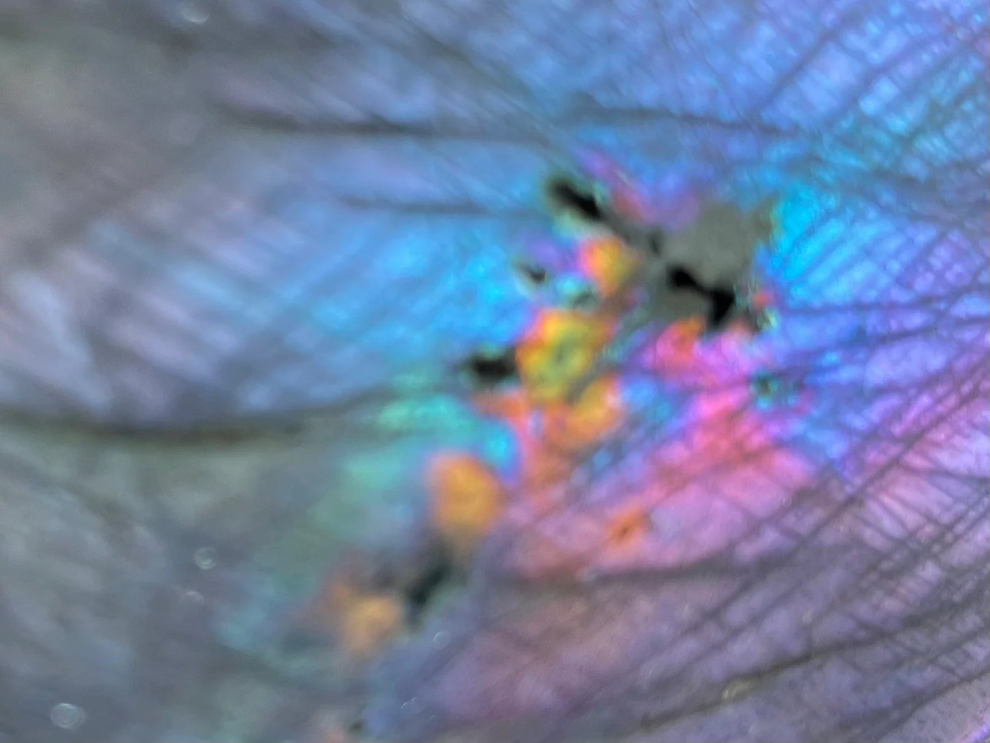 New Moon Magical Labradorite 1 lb