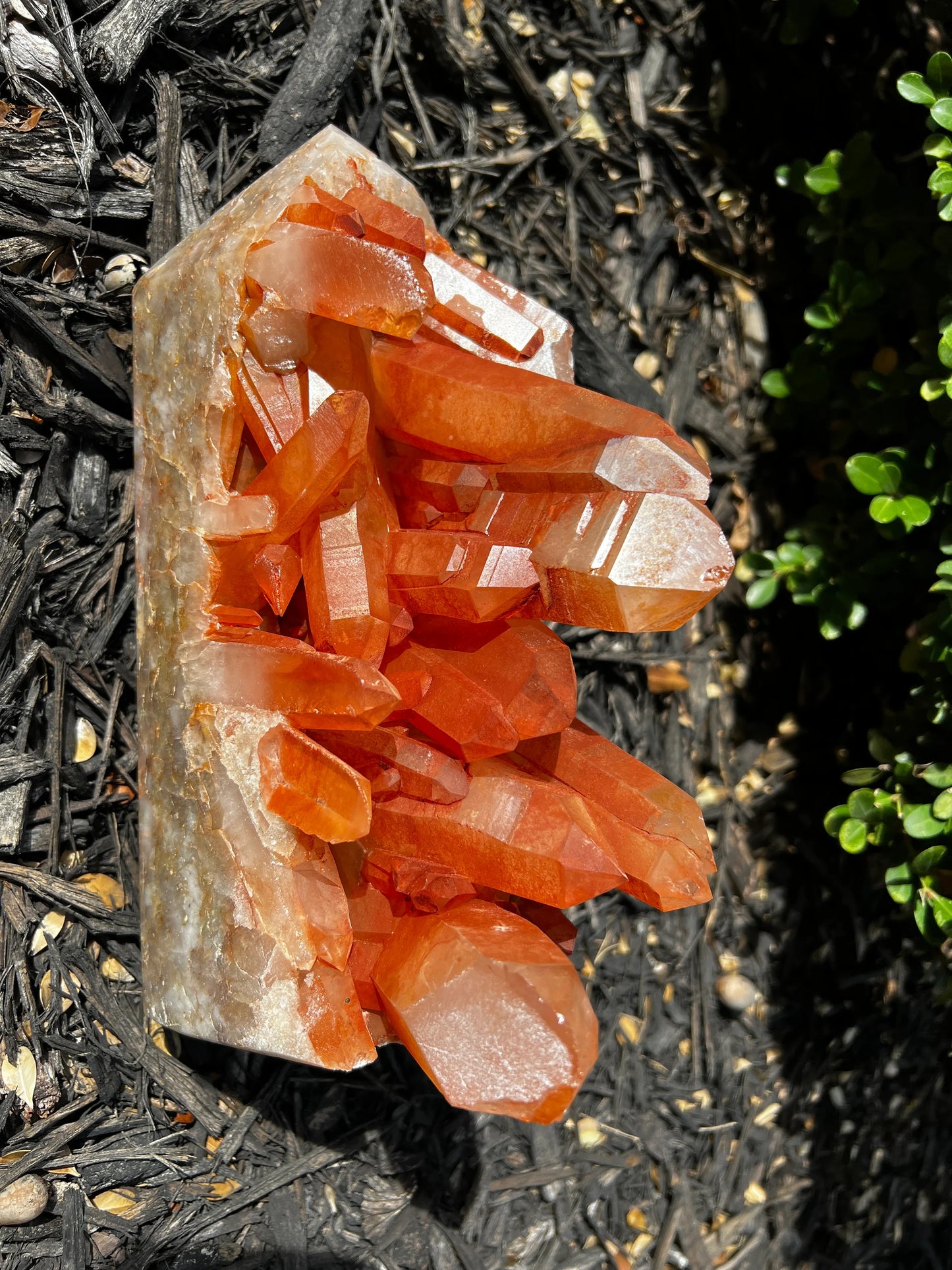 Rare Scarlet Temple Lemurian Quartz Cluster 6 lb Obelisk