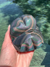 Rainbow Obsidian Crystal Butterfly Carving