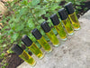 Fresh and Fabulous Crystal Infused Essential Oil Perfume Spearmint Lemongrass Sunstone 10 ml