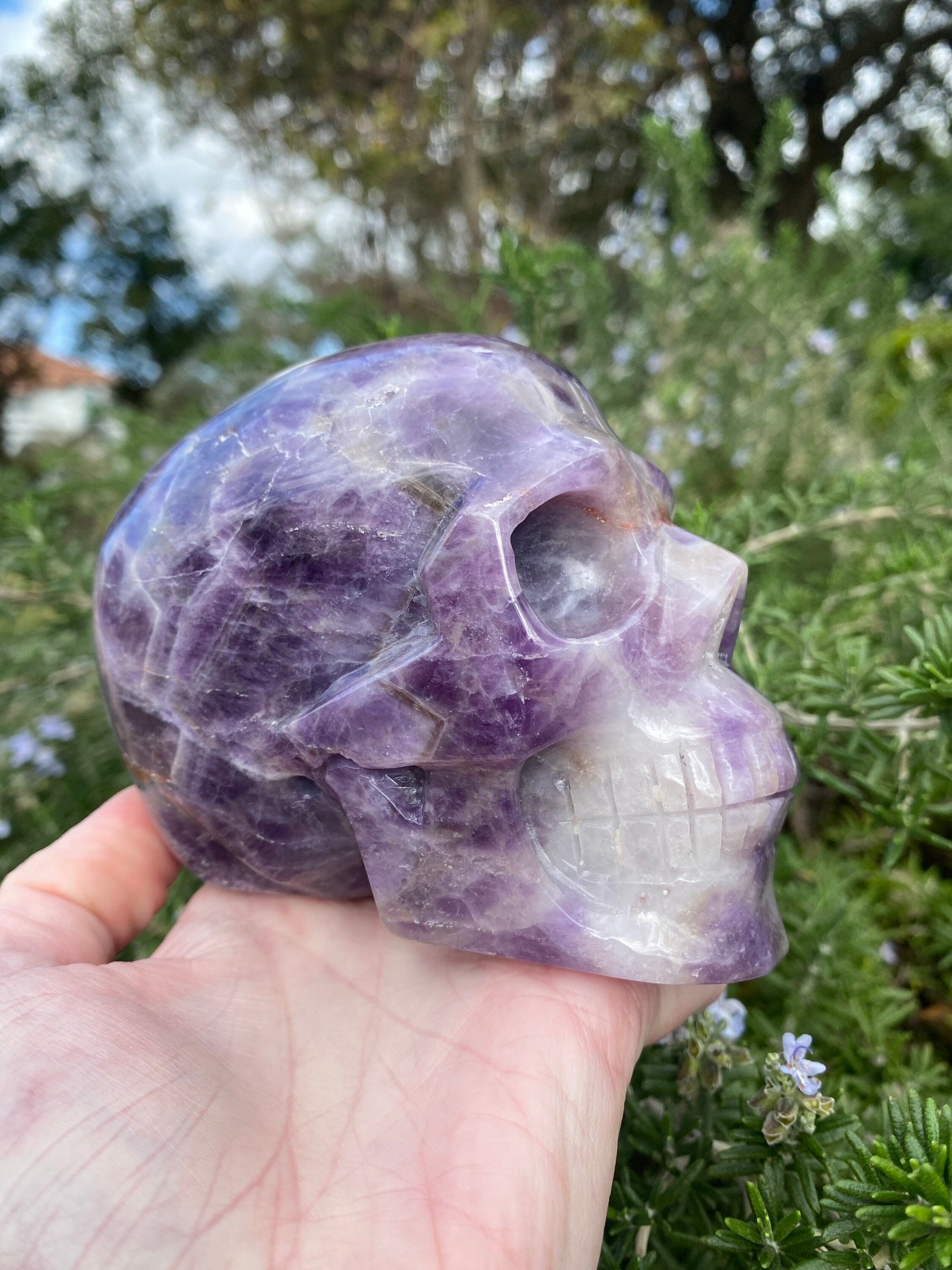 Grape Purple Amethyst Hand Carved Skull 2.4 lbs