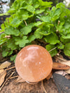 Peach Selenite Sphere 2.5” Moon Crystal