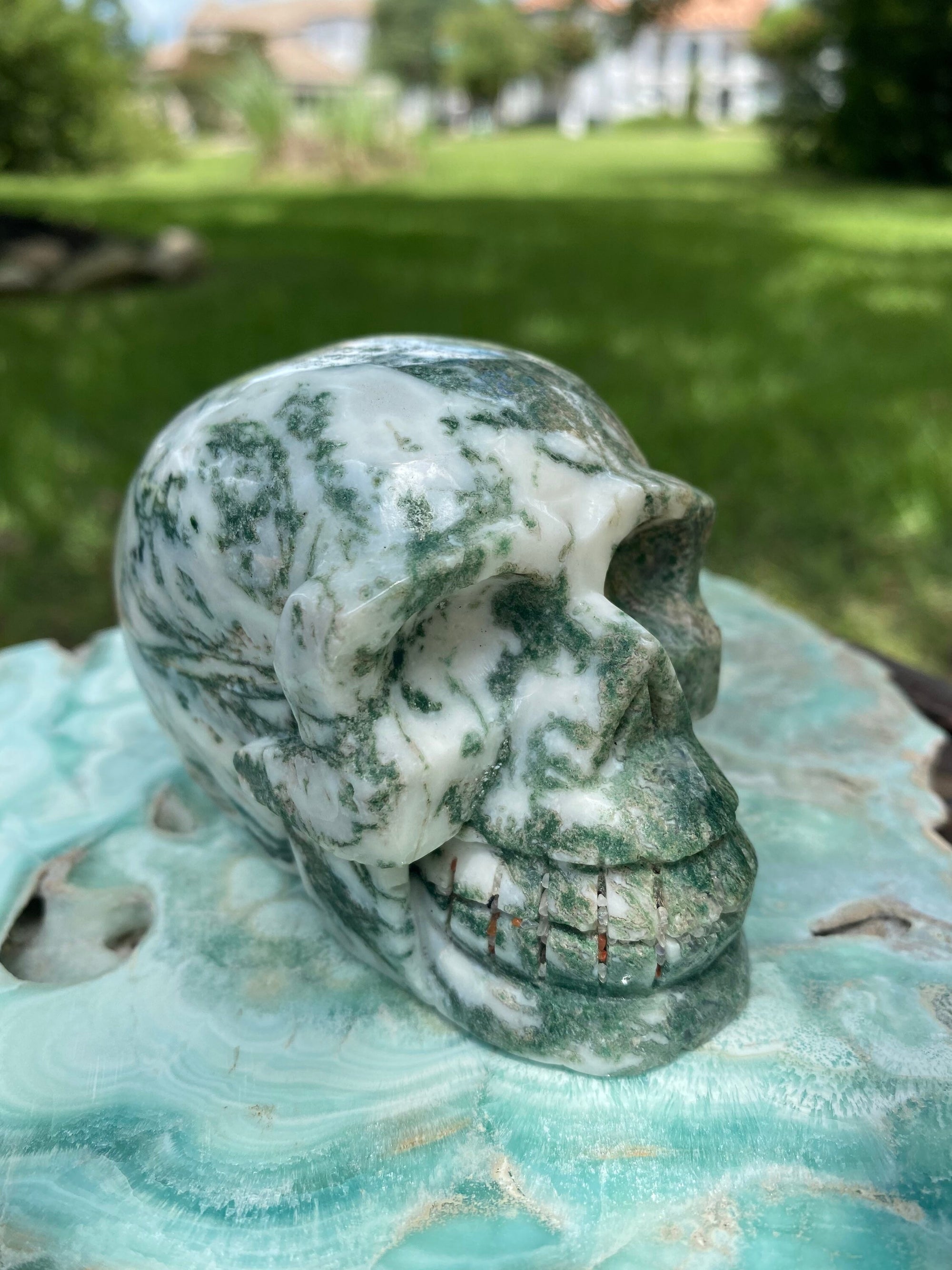 Moss Agate Green White Skull Carving 423 G