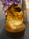 Brazilian Smoky Quartz Natural Phantom Lamp 823 G