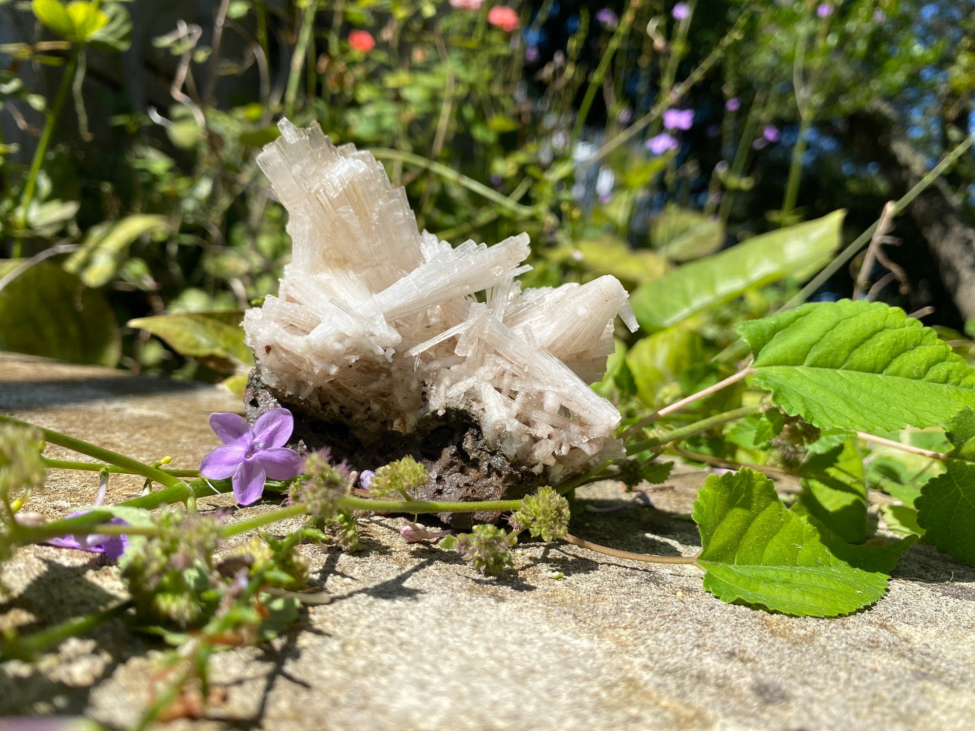 Scolecite Specimen Perfect Needles