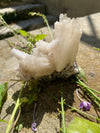 Scolecite Specimen Perfect Needles