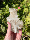 Scolecite Specimen Perfect Needles