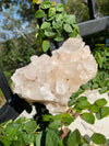 Pink Himalayan Quartz Multi Faceted 613 G