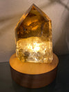 Brazilian Smoky Quartz Natural Phantom Lamp 823 G