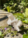 Scolecite Specimen Perfect Needles