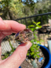 Smoky Quartz multi faceted Crystal Wand