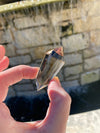 Smoky Quartz multi faceted Crystal Wand