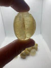 Yellow Fluorite Tumble Stones 1-2” Each Stunning Quality